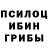 Псилоцибиновые грибы мицелий Liz Kelly