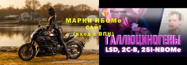 стафф Данков