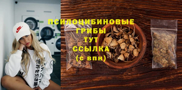молекула духа Дедовск