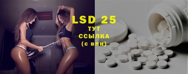 прущие грибы Аркадак