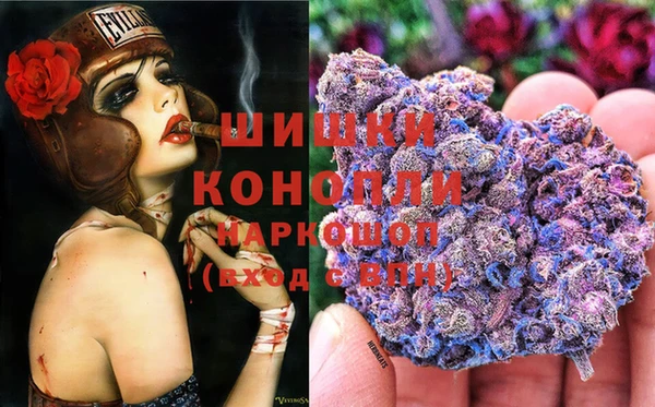 индика Богородск