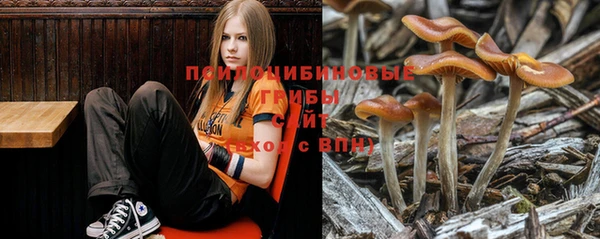 первитин Арсеньев