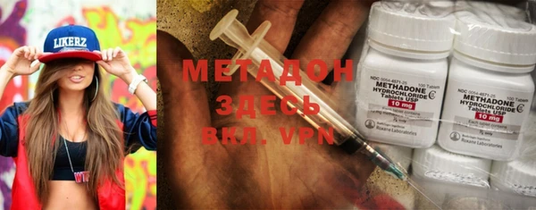 прущие грибы Аркадак