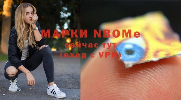 прущие грибы Аркадак