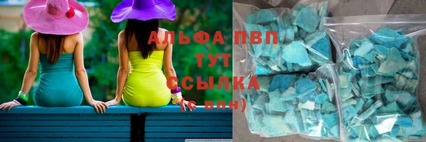 стафф Данков