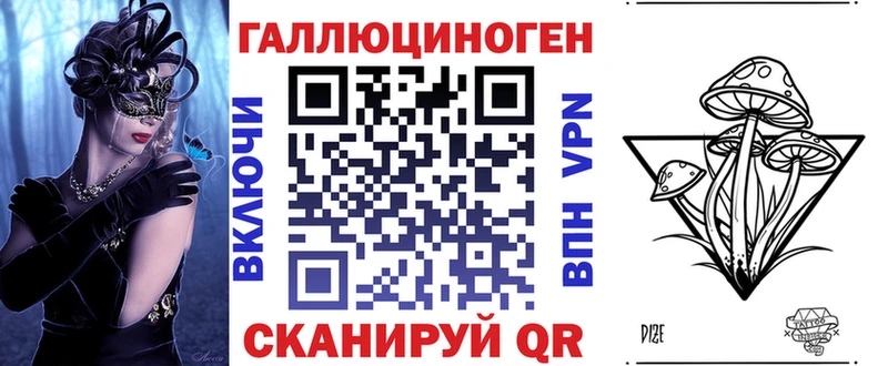закладка Елабуга Псилоцибиновые грибы Psilocybe